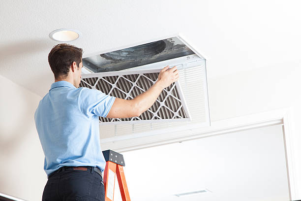 Best HVAC Repair Near Me  in Clara City, MN